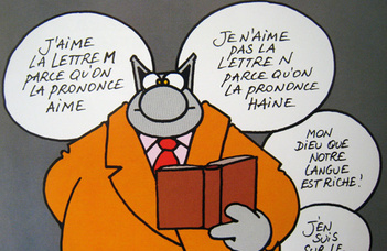 Francia minor • szintfelmérés