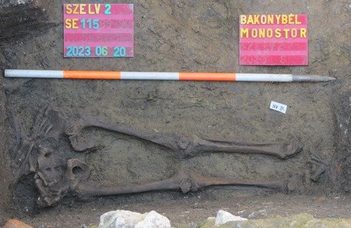 Ezeréves épületet tártak fel Magyarországon (24.hu)