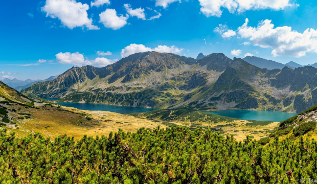 Szlavisztika alapképzési szak, lengyel szakirány
